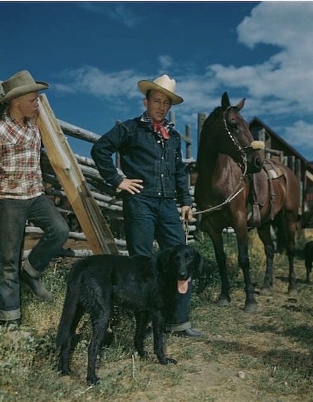 Blue-Collar to Black-Tie: The Origin Story of the Canadian Tuxedo