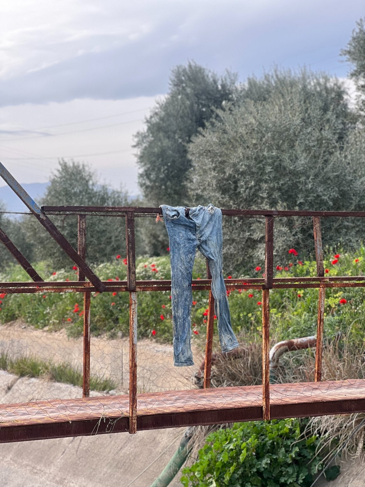 Green Jeans: Examining the Environmental Impact of Buying Pre-Owned Denim